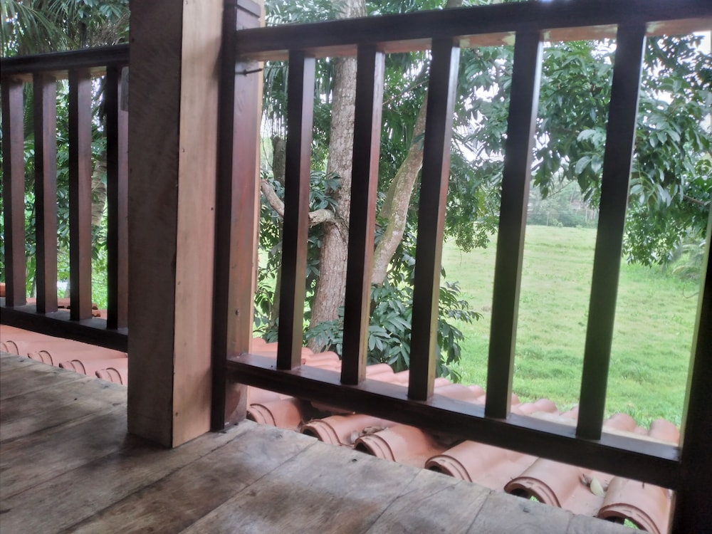Green Herbal Ayurvedic Eco-Lodge 28/54