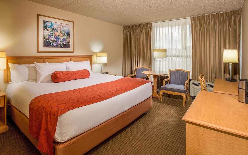 Hotel 116 Coast Bellevue Hotel 13/67