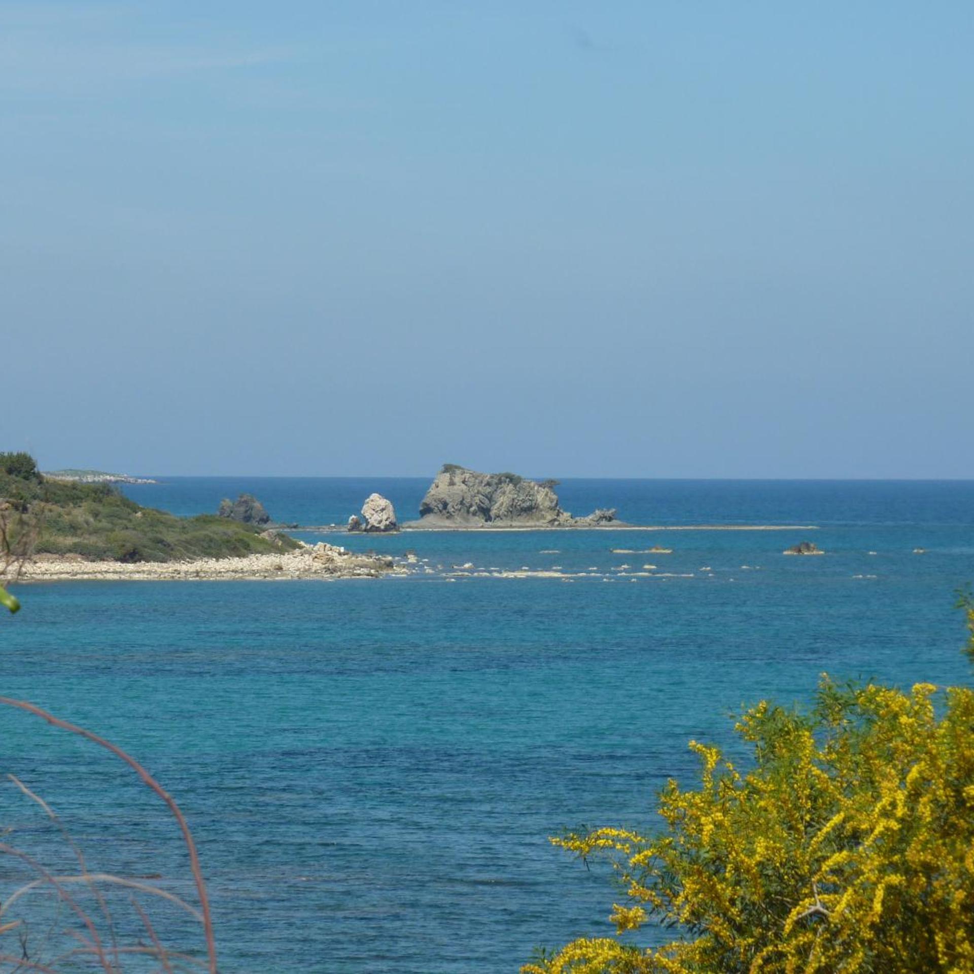 Aphrodite Beach Hotel 42/51