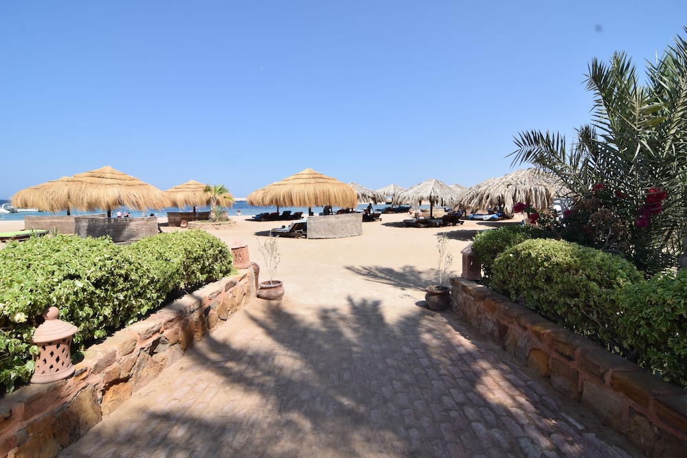 Sharm El Naga Resort and Diving Center 30/37