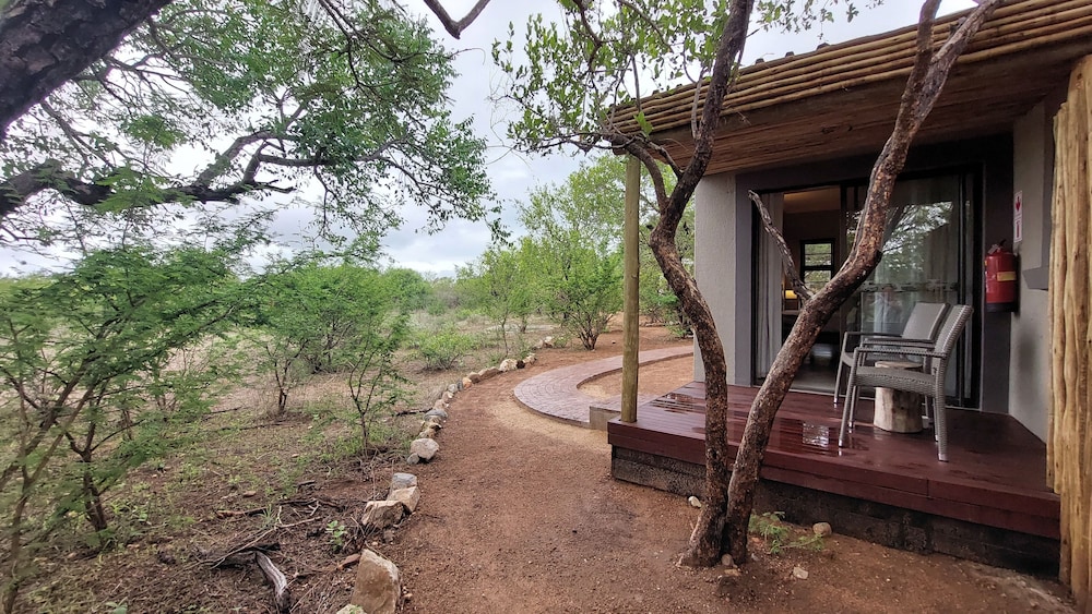 The Baobab Bush Lodge 45/50