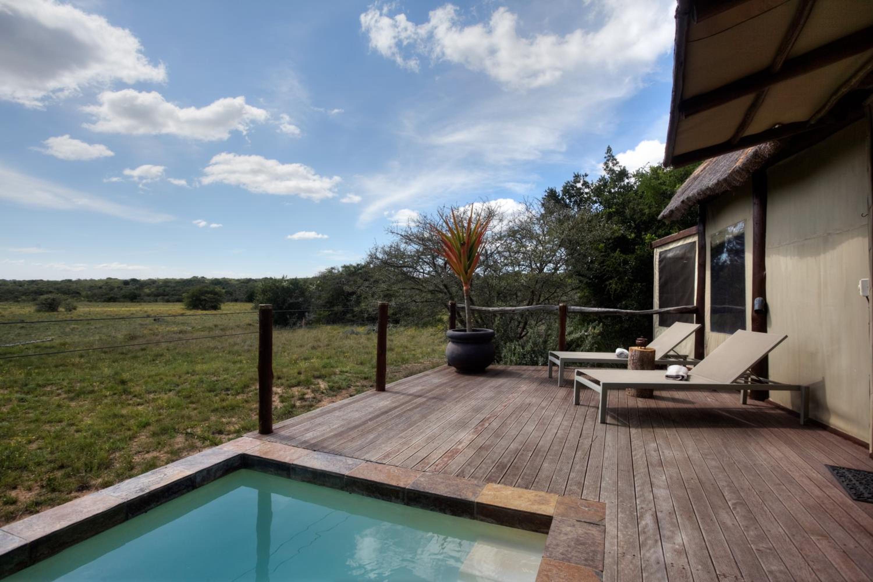 Amakhala Game Reserve - Bush Lodge 18/19