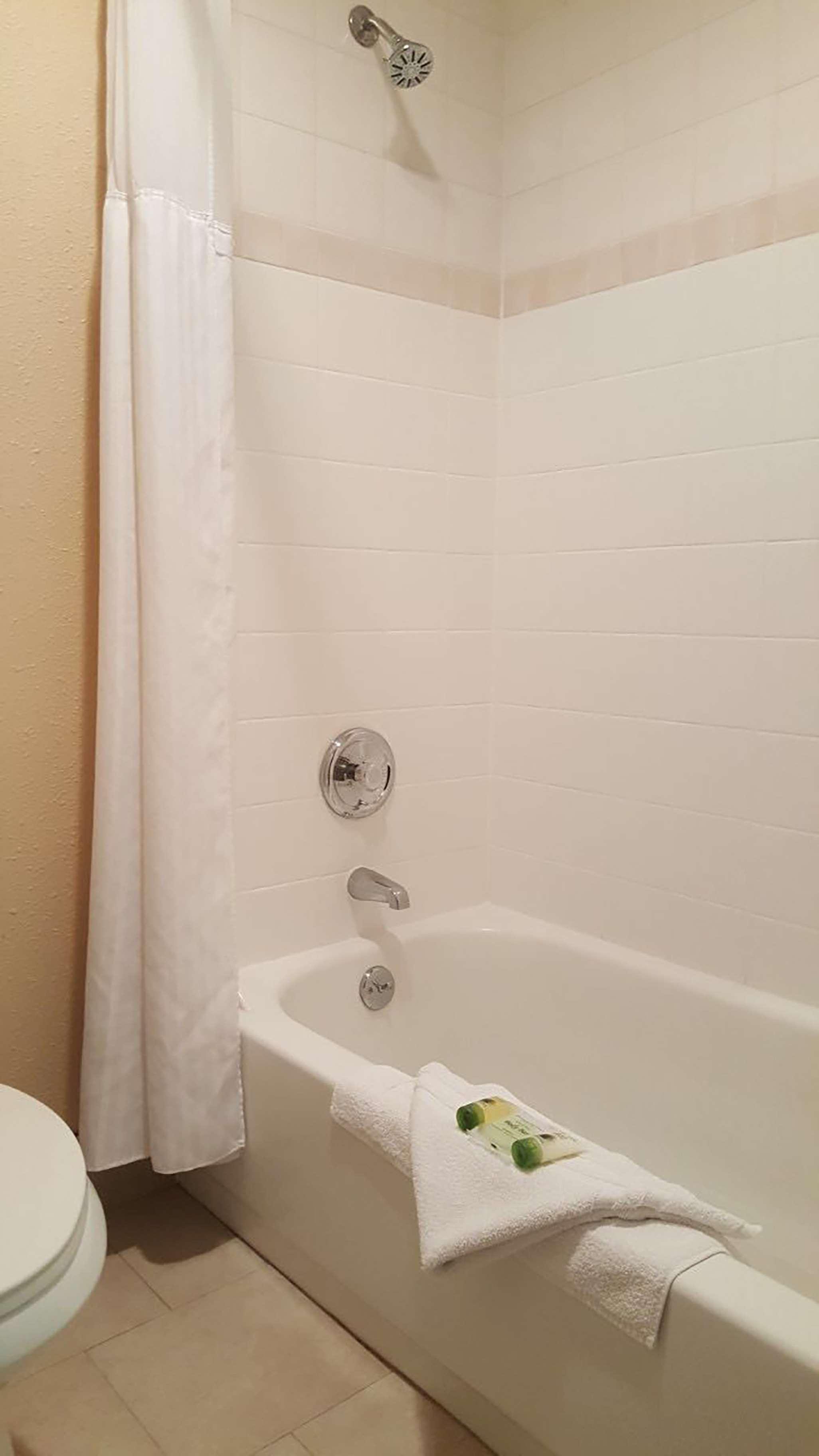 Suite, King Bed