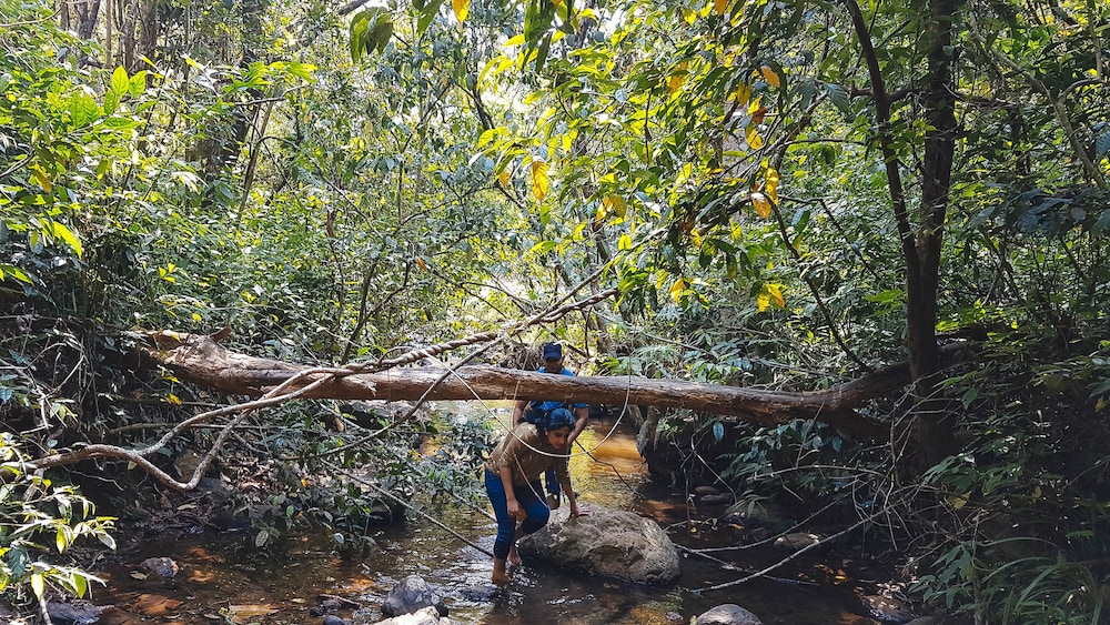 Wayanad Wild - Cgh Earth 10/48