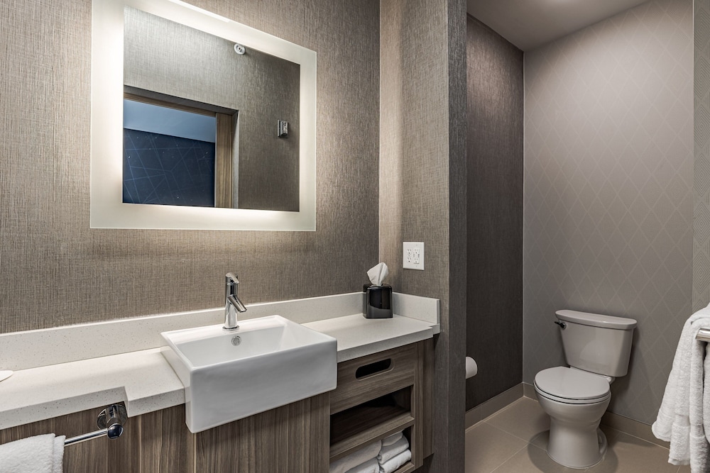 SpringHill Suites Detroit Sterling Heights 32/35