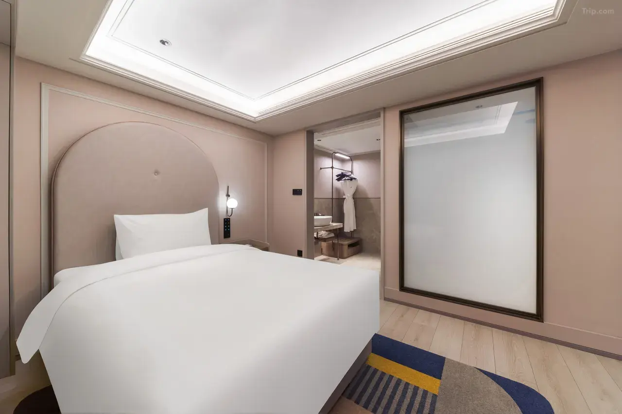 Mercure Nanjing Confucius Temple 14/19