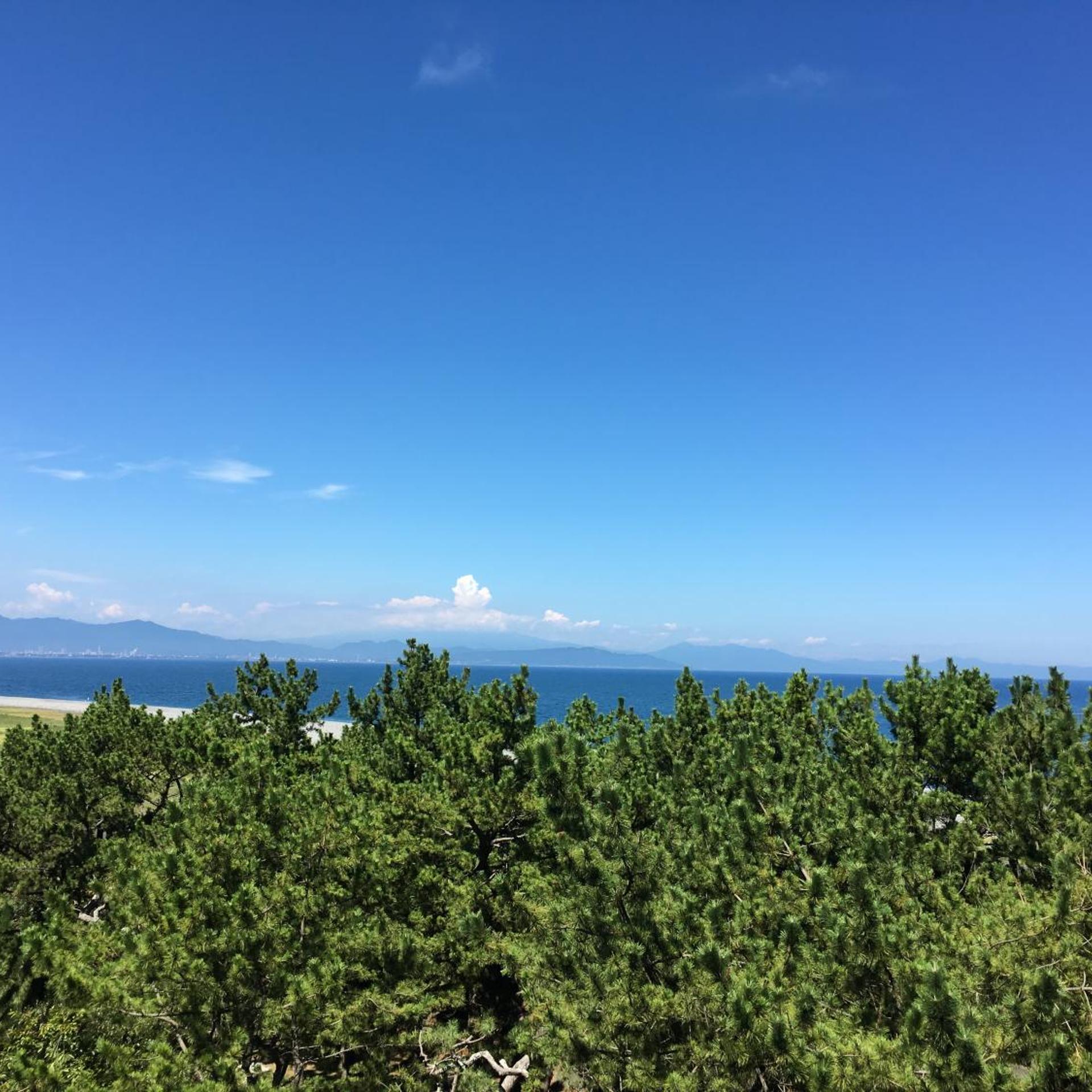 Hotel Tetora Resort Shizuoka Yaizu (ex Sankeien Hotel) 48/55