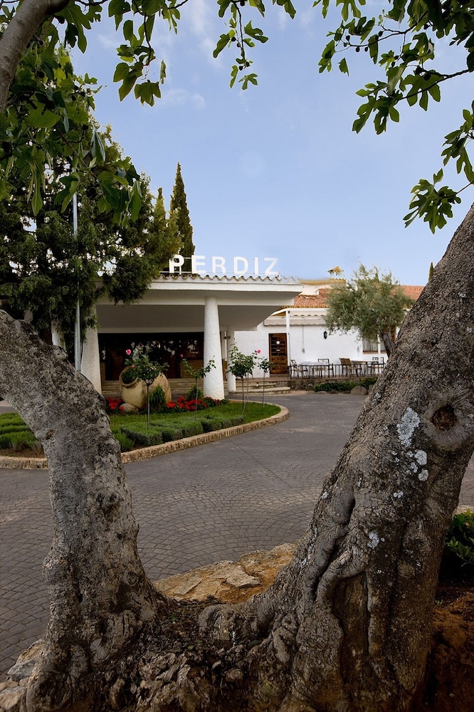La Perdiz 24/28