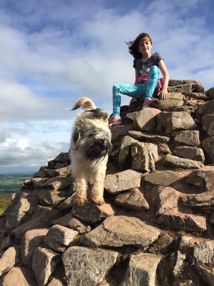 Exmoor House - Guest House 39/50
