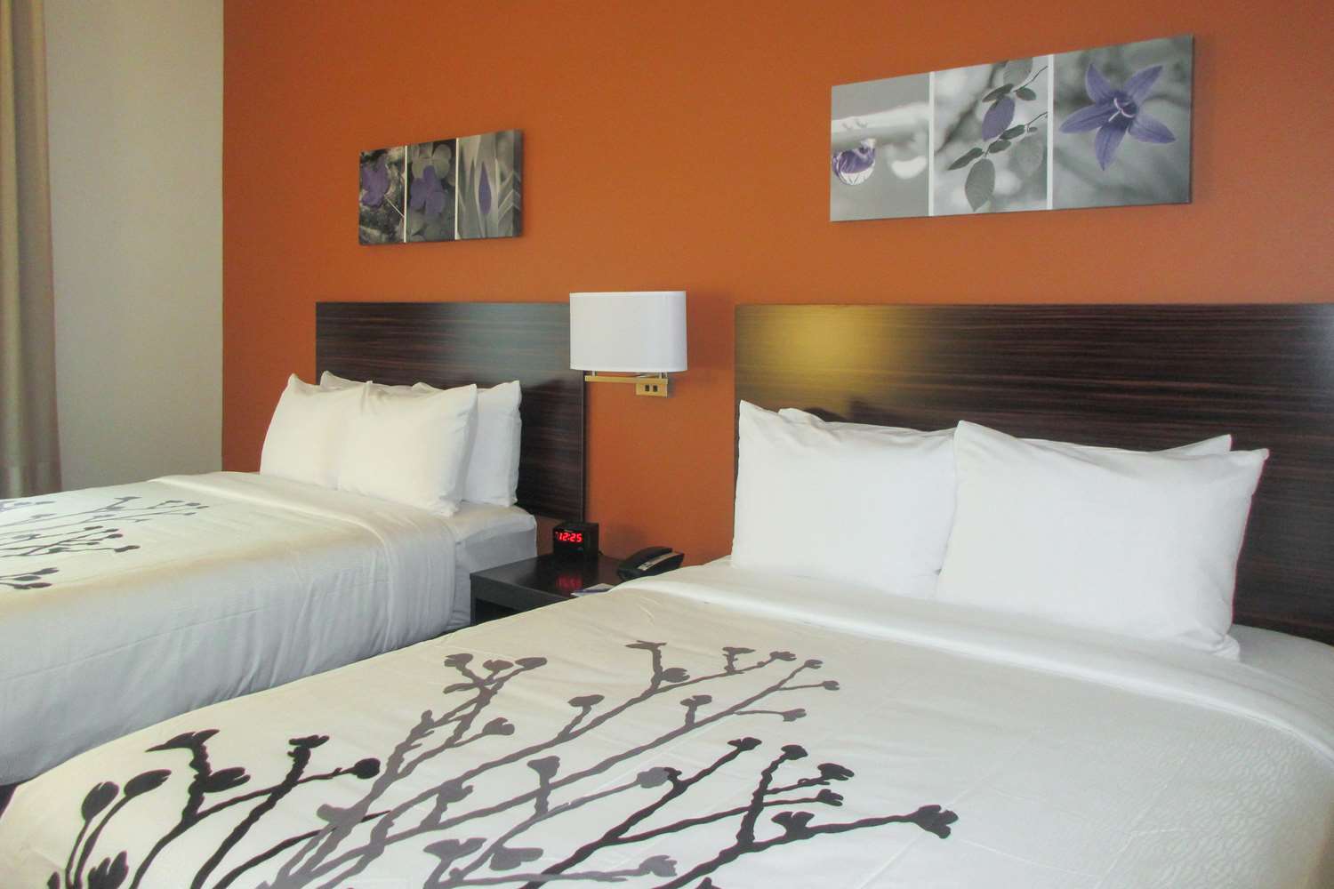 Efficiency, Suite, 2 Queen Beds