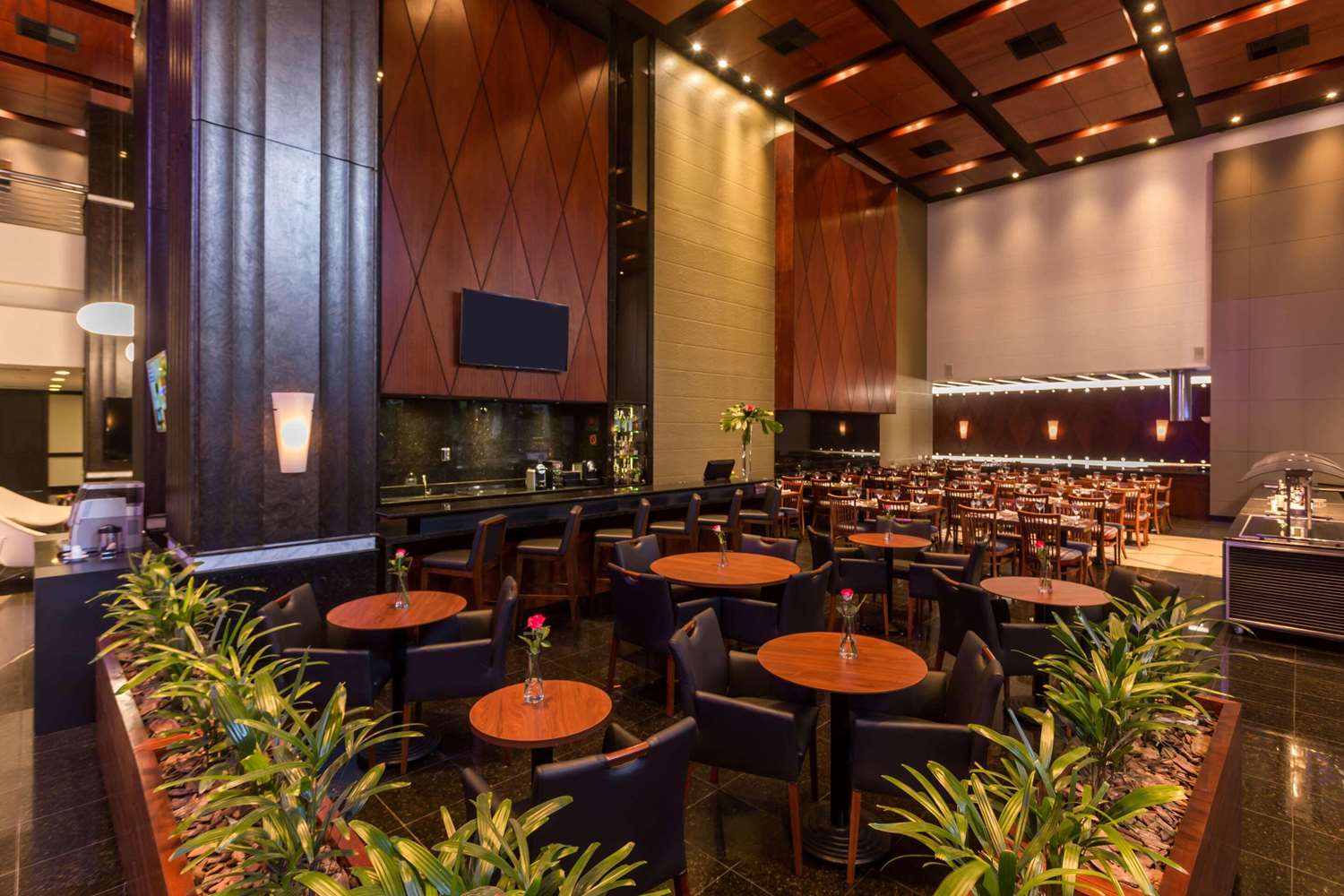 Radisson Hotel Curitiba 15/18