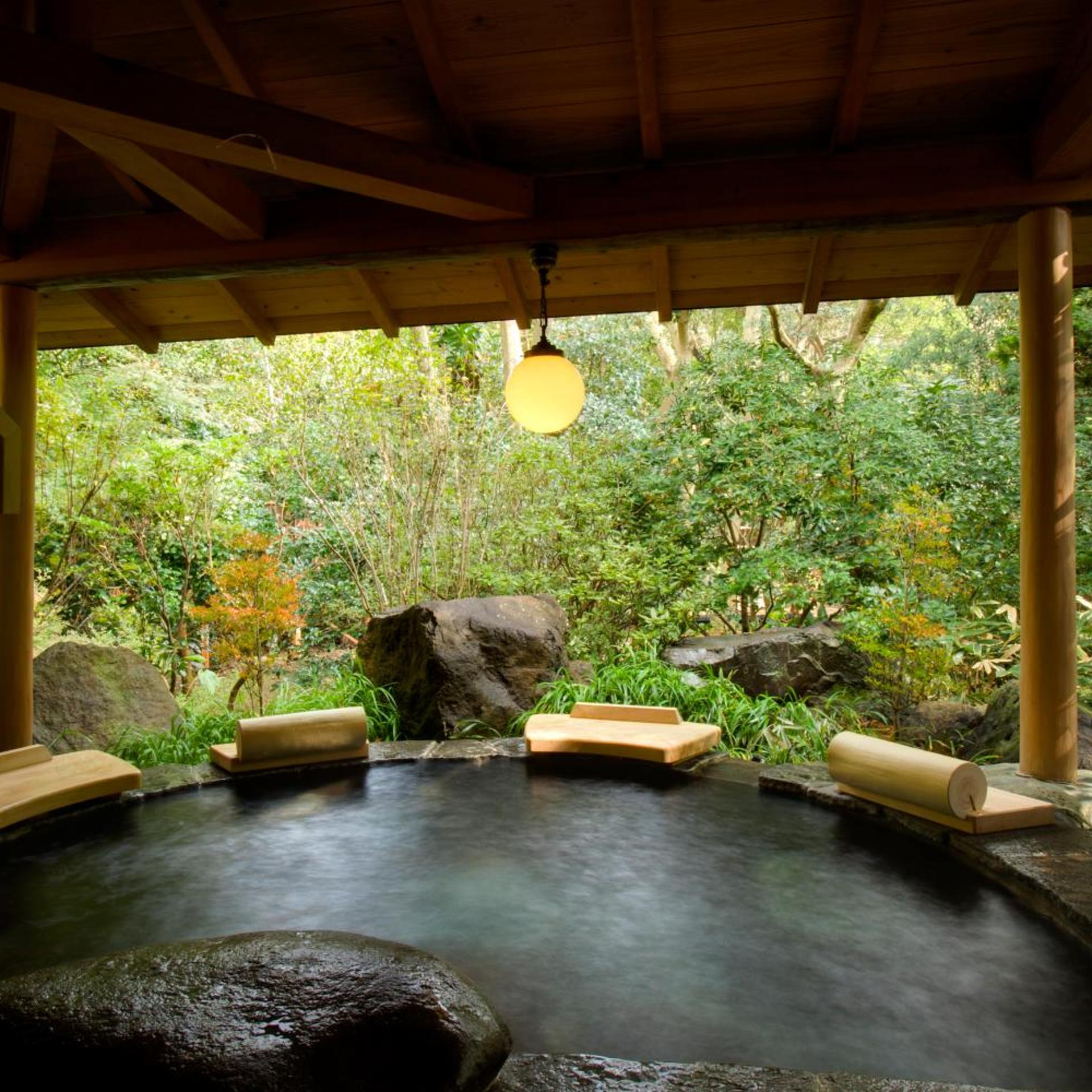 Shimoda Rendaiji Onsen Seiryuso 25/50