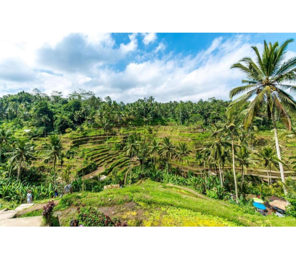 Padi-Padi Backpackers Home 44/50