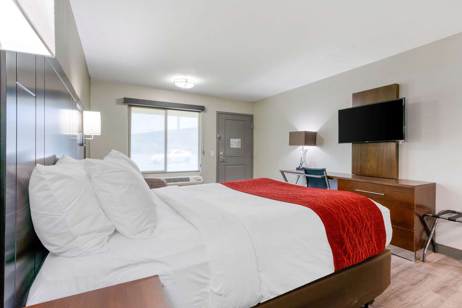 Room, Queen Bed