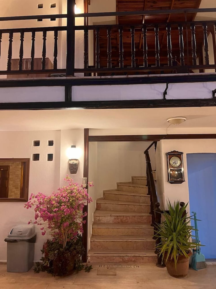 Hotel Palma Rosa 1/50