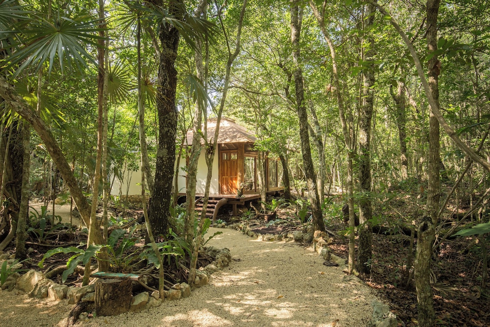 Pepem Holistic Experience and Chaman Cuisine Restaurant - Adults Only 49/55