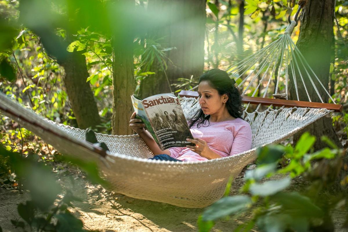 Kanha Jungle Lodge 9/25