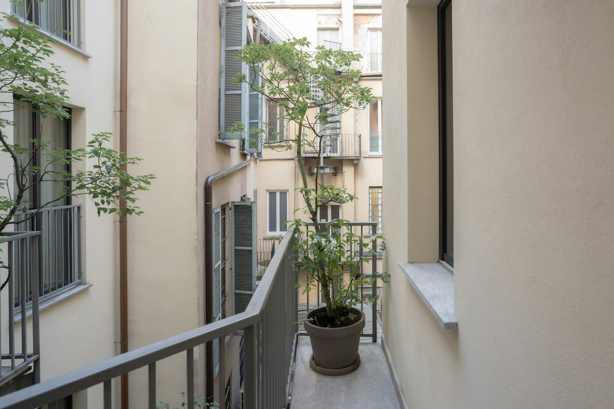 Speronari Suites 45/50