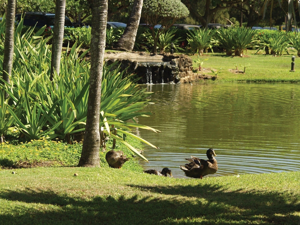 Kauai Beach Villas 17/40