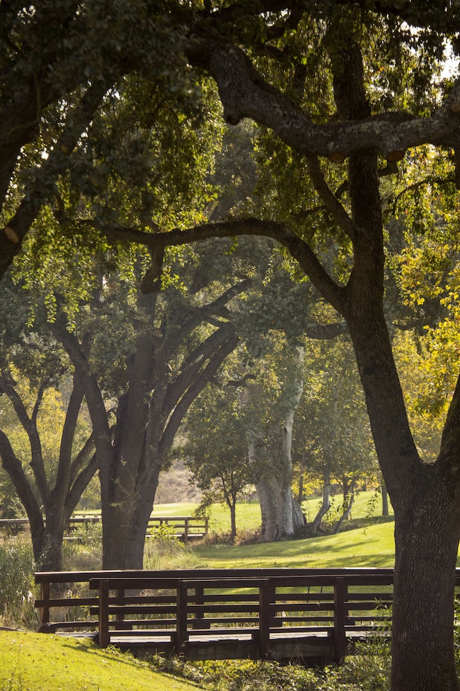 CordeValle 25/67