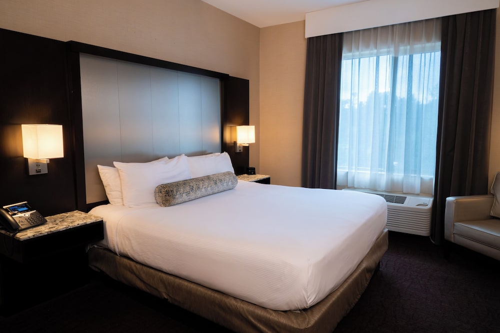 Bay Suite, King Bed