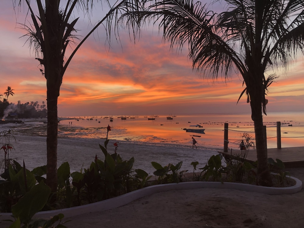Aluna Beach Lodge 28/50