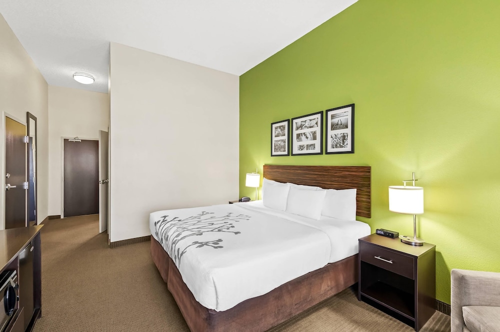 Room, King Bed, Accessible