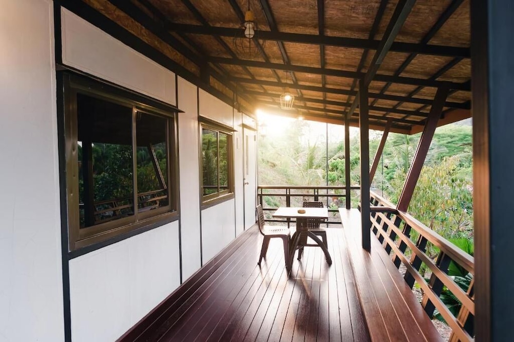DESIGN, TREE HOUSE