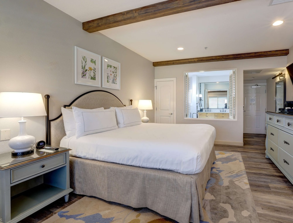 Room, King Bed