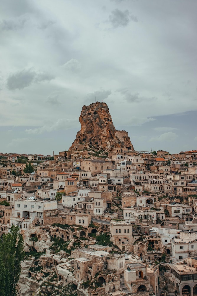 Louis Cappadocia 44/50