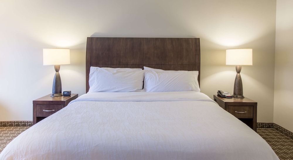 Hilton Garden Inn Raleigh Cary 14/67