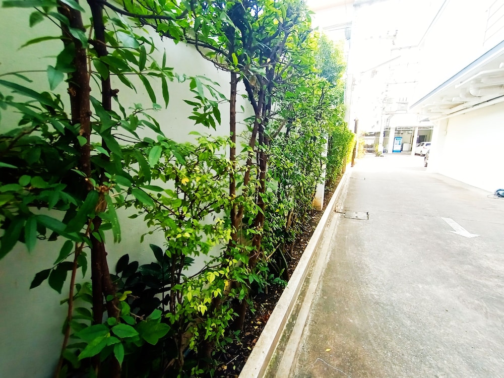 Chiangmai Lodge 48/52