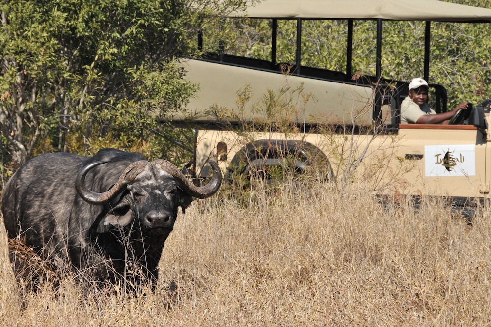 Imbali Safari Lodge 24/31