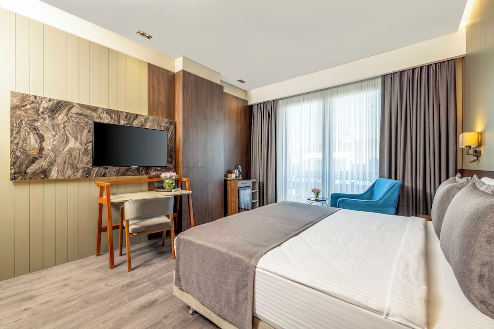 Ezkar Bathonea Art Istanbul Hotel 26/60