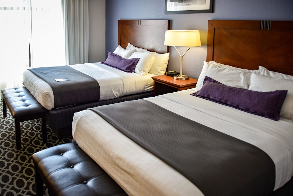 The Bluemont Hotel 21/80