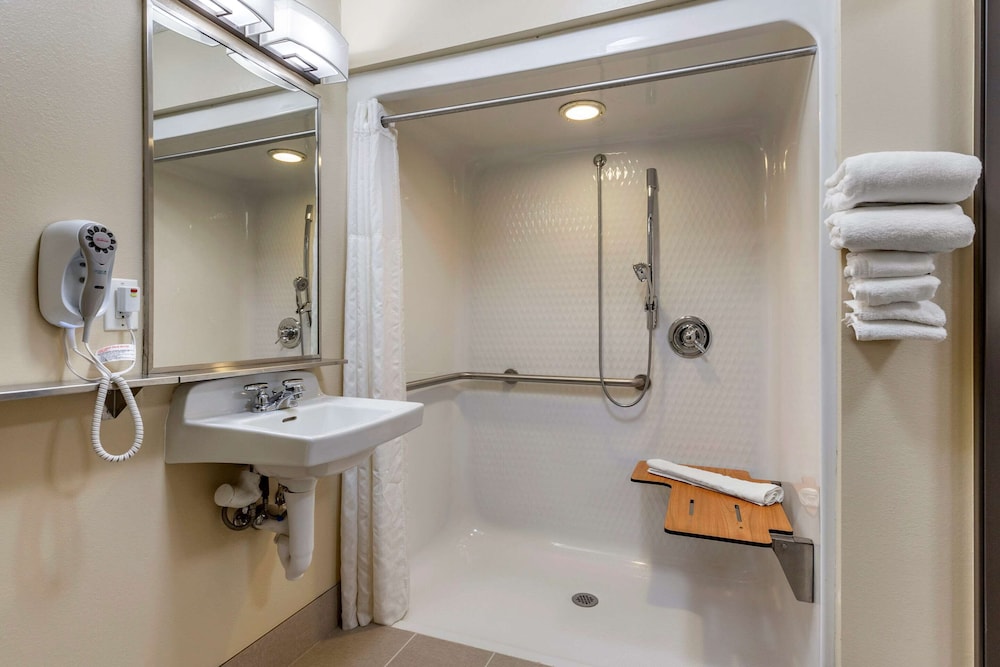 Comfort Inn Suites Dimondale Lansing 20/35
