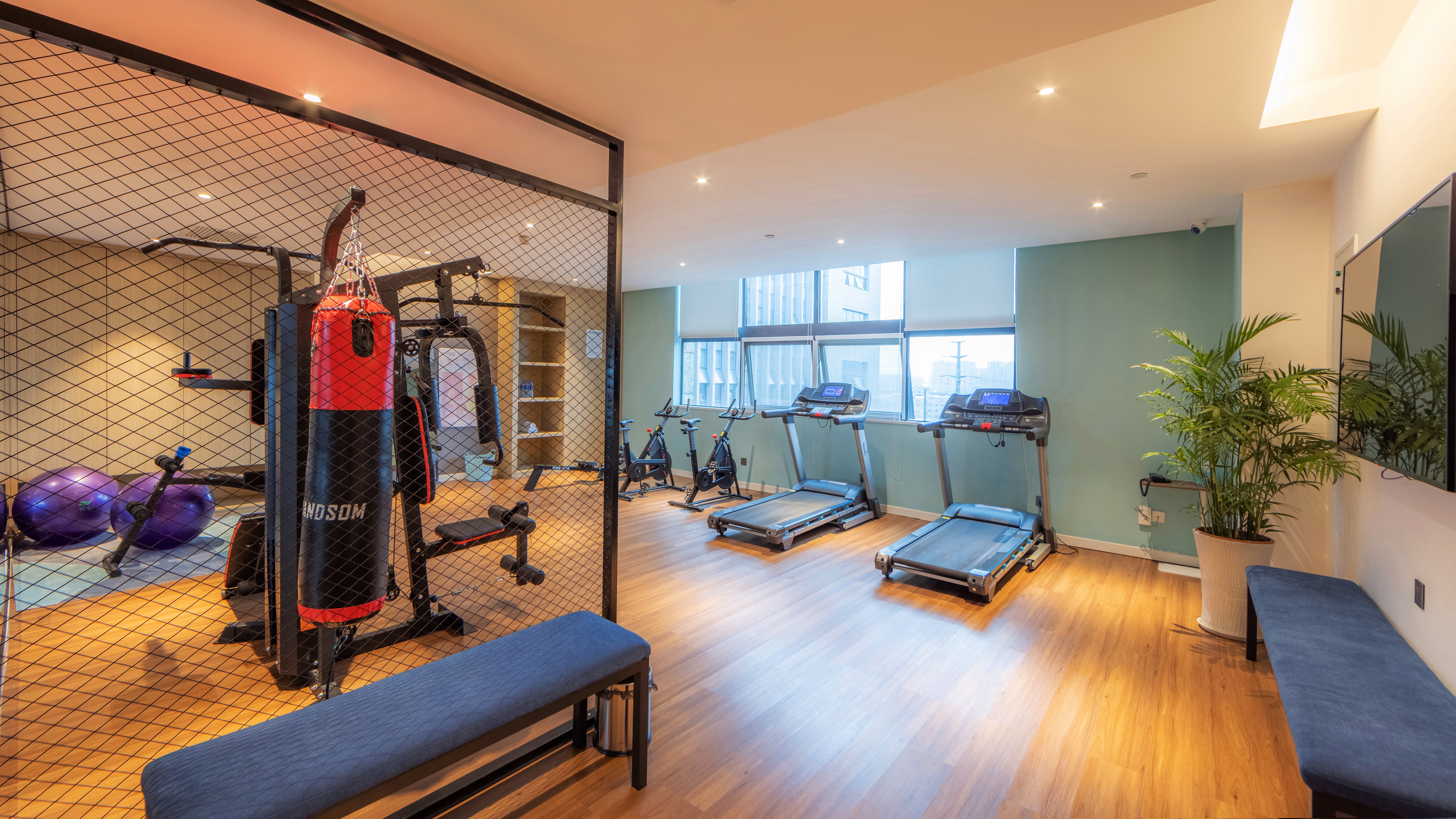 Holiday Inn Express Chengdu Wuhou New City 29/50
