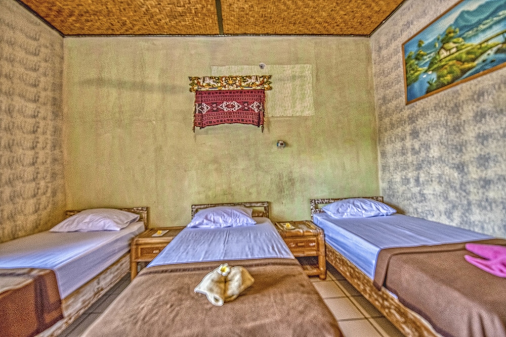 Lovina Central Hostel 8/29