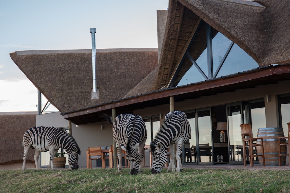 J-Bay Zebra Lodge 38/50