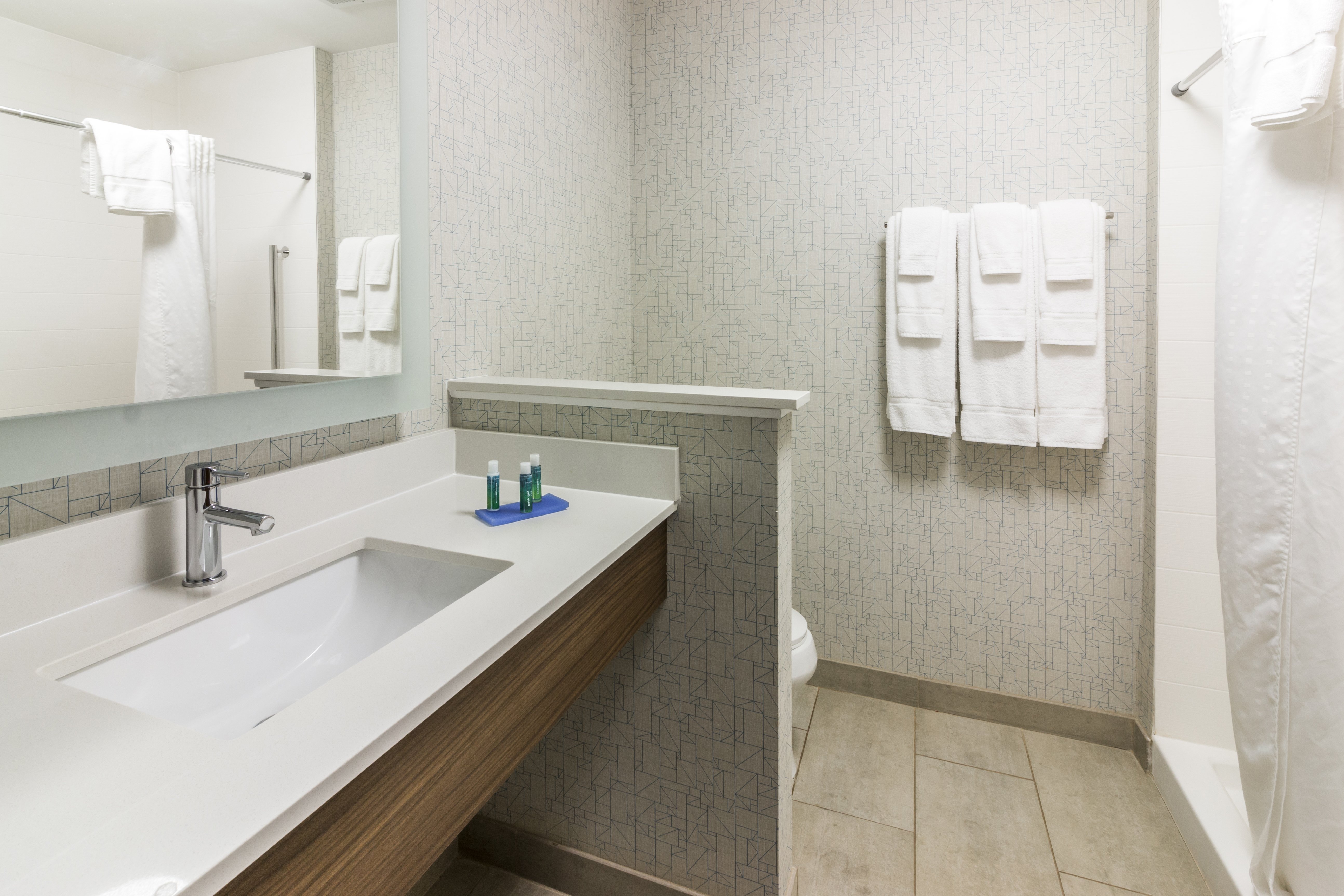HOLIDAY INN EXPRESS VILLA RICA 38/38