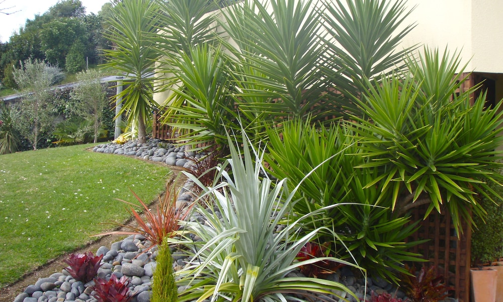 Seascape Villa Bed Breakfast 52/61