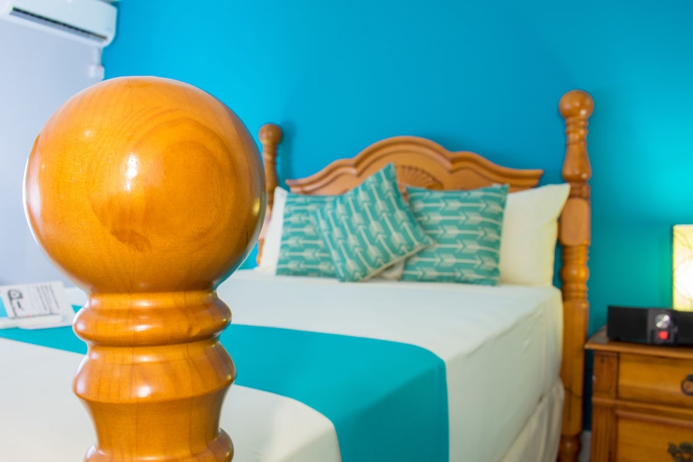 Casa Alexandria Guest Apartment 25/47