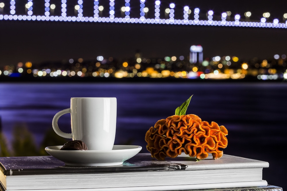 Bosphorus Palace Hotel Special Class 47/79