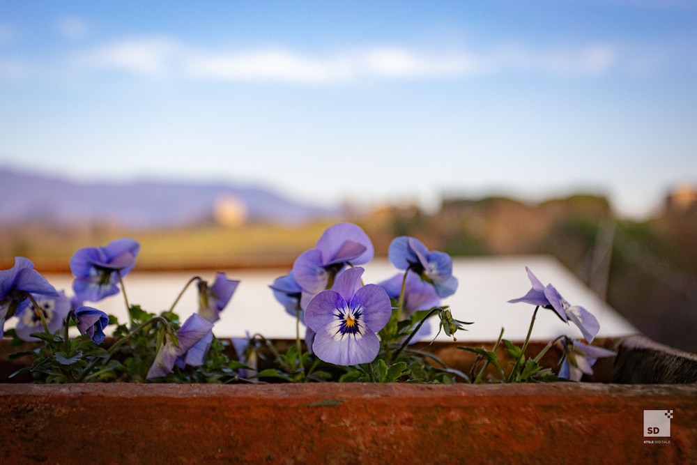 Tenuta il Burchio Hotel 45/50