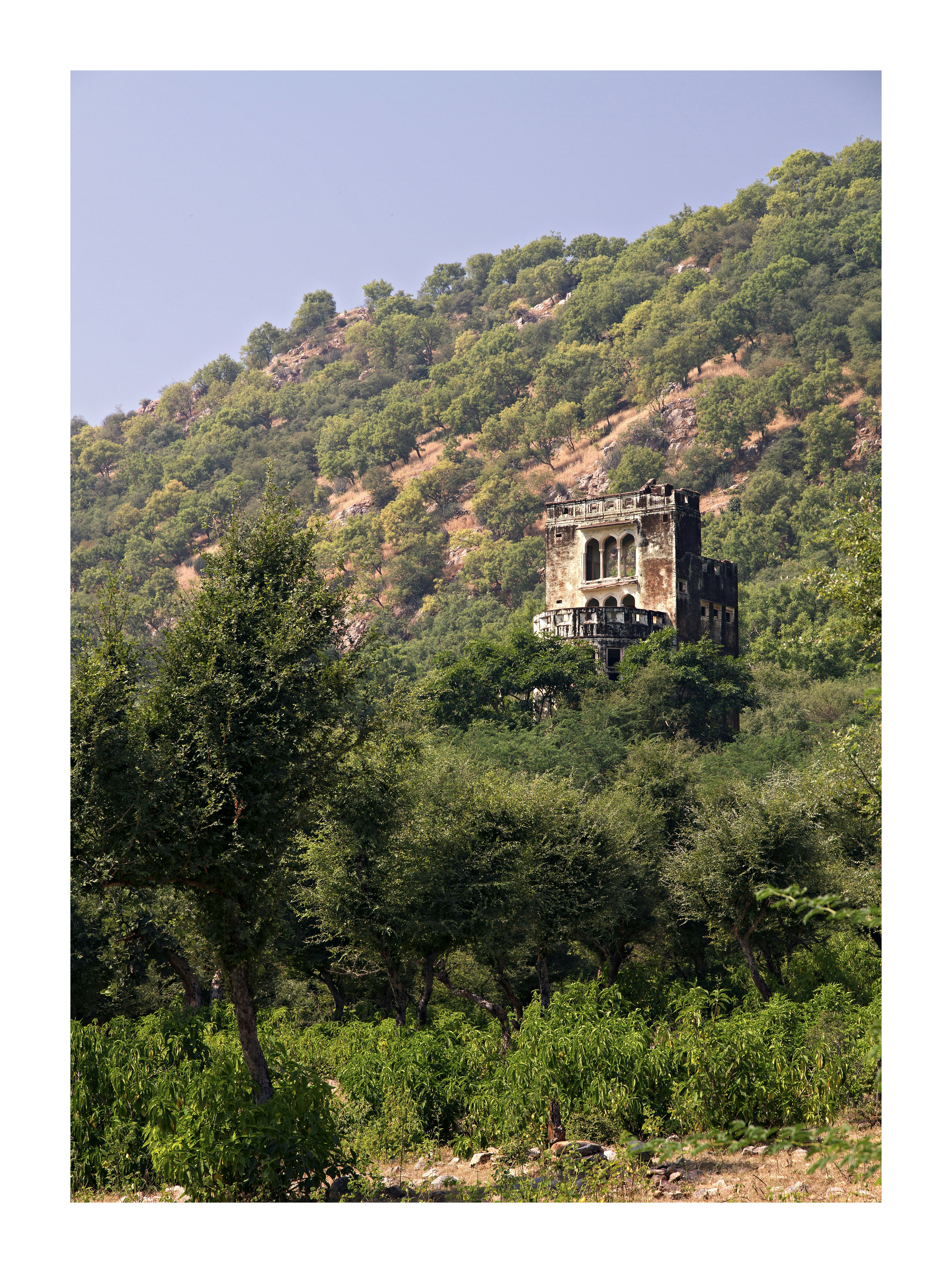 Ramgarh Lodge, Jaipur – IHCL SeleQtions 73/77