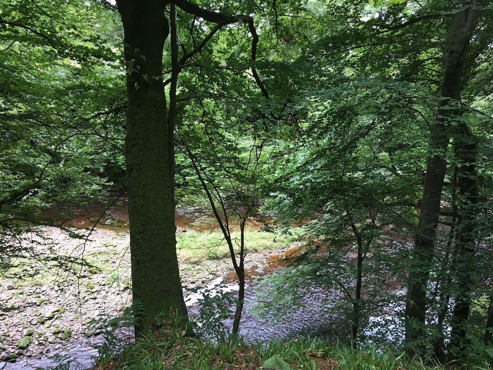 Broomhills Farm River Eco Pods 19/21