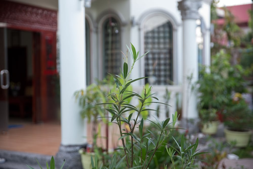 Serkirin Mary Angkor Villa 6/54