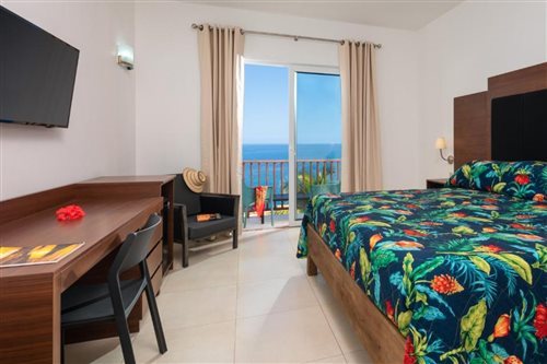Deluxe, Double or Twin Bed, Ocean Front, Sea View