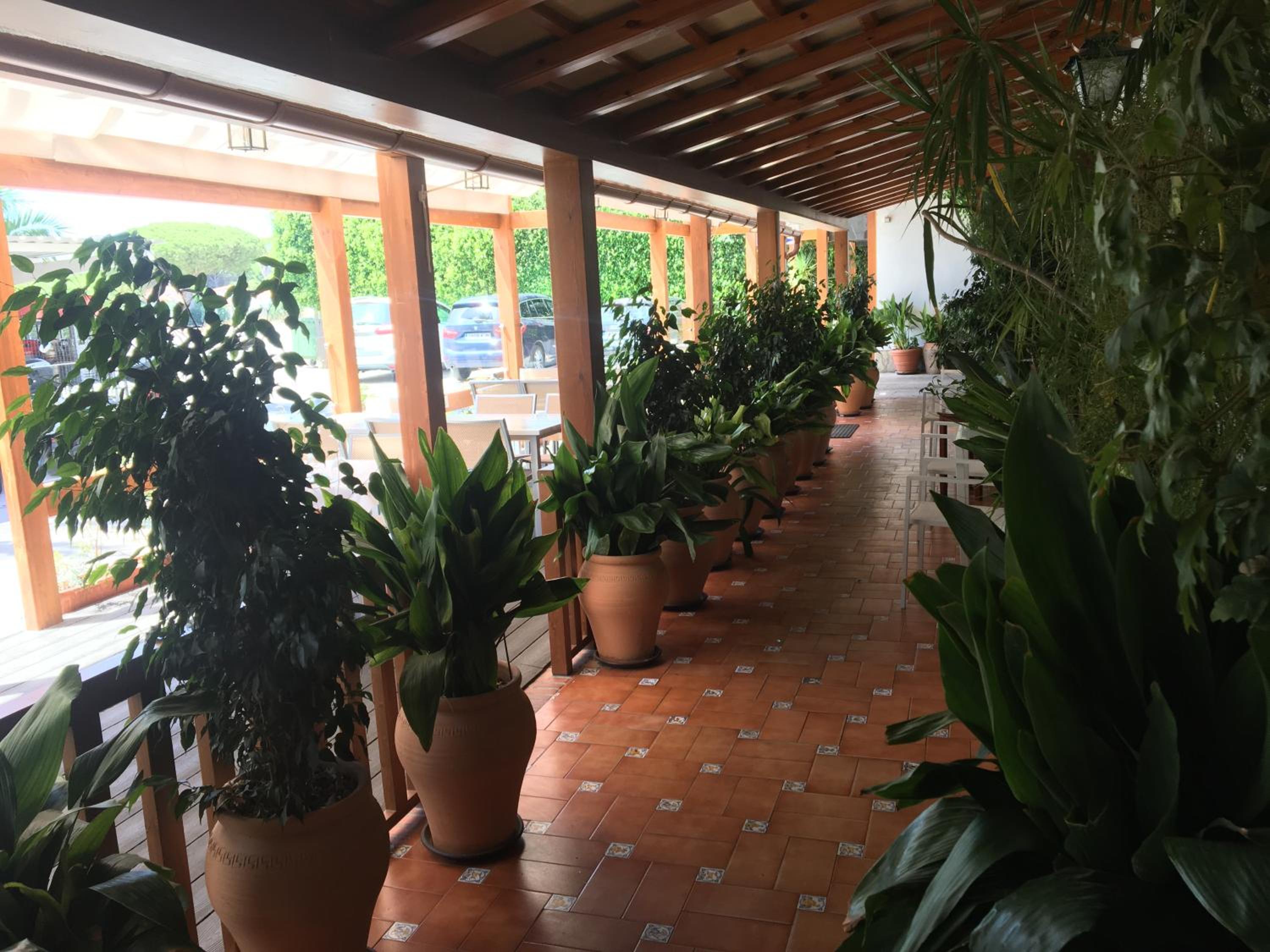 Hotel Antonio Conil 42/45