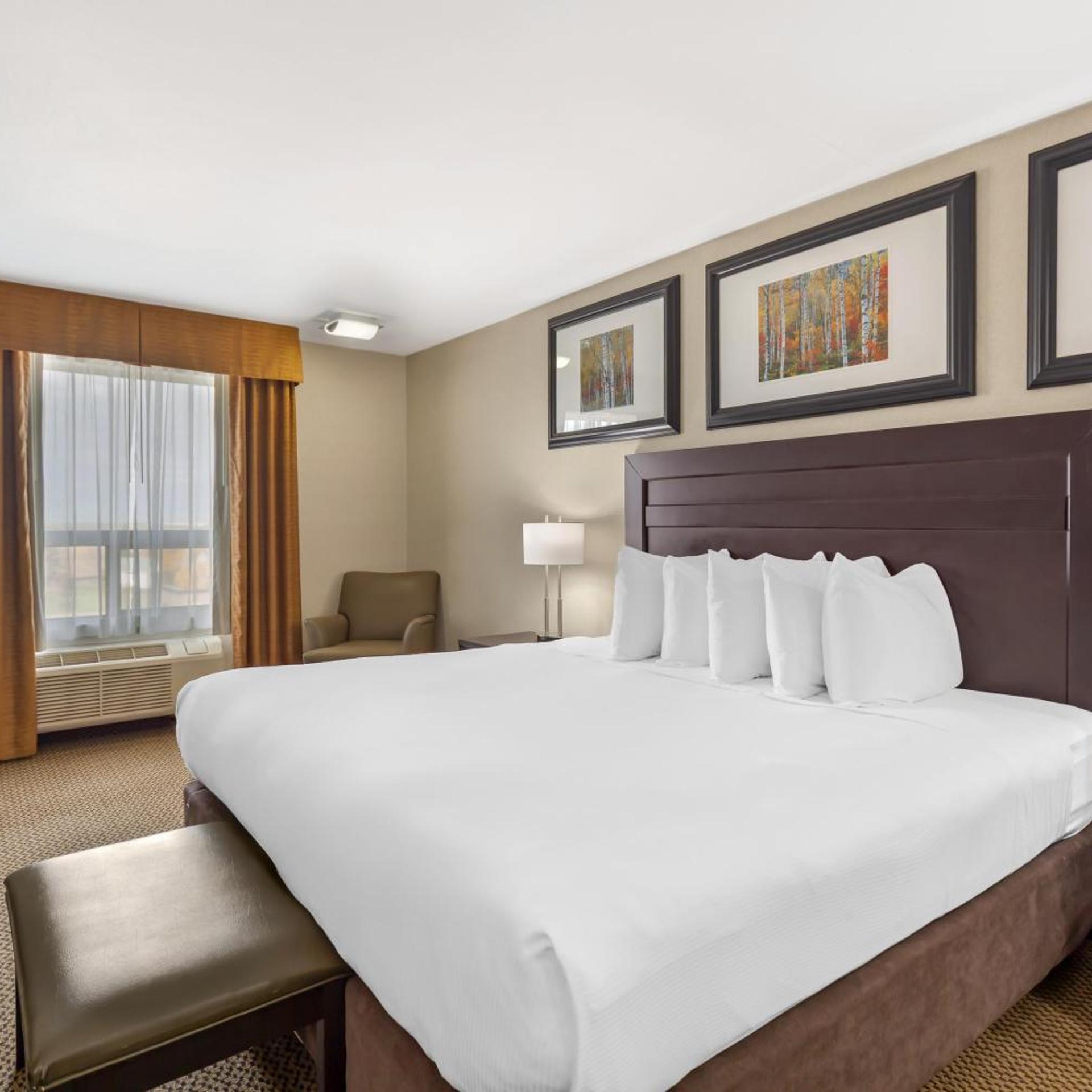 Suite, King Bed, Hot Tub